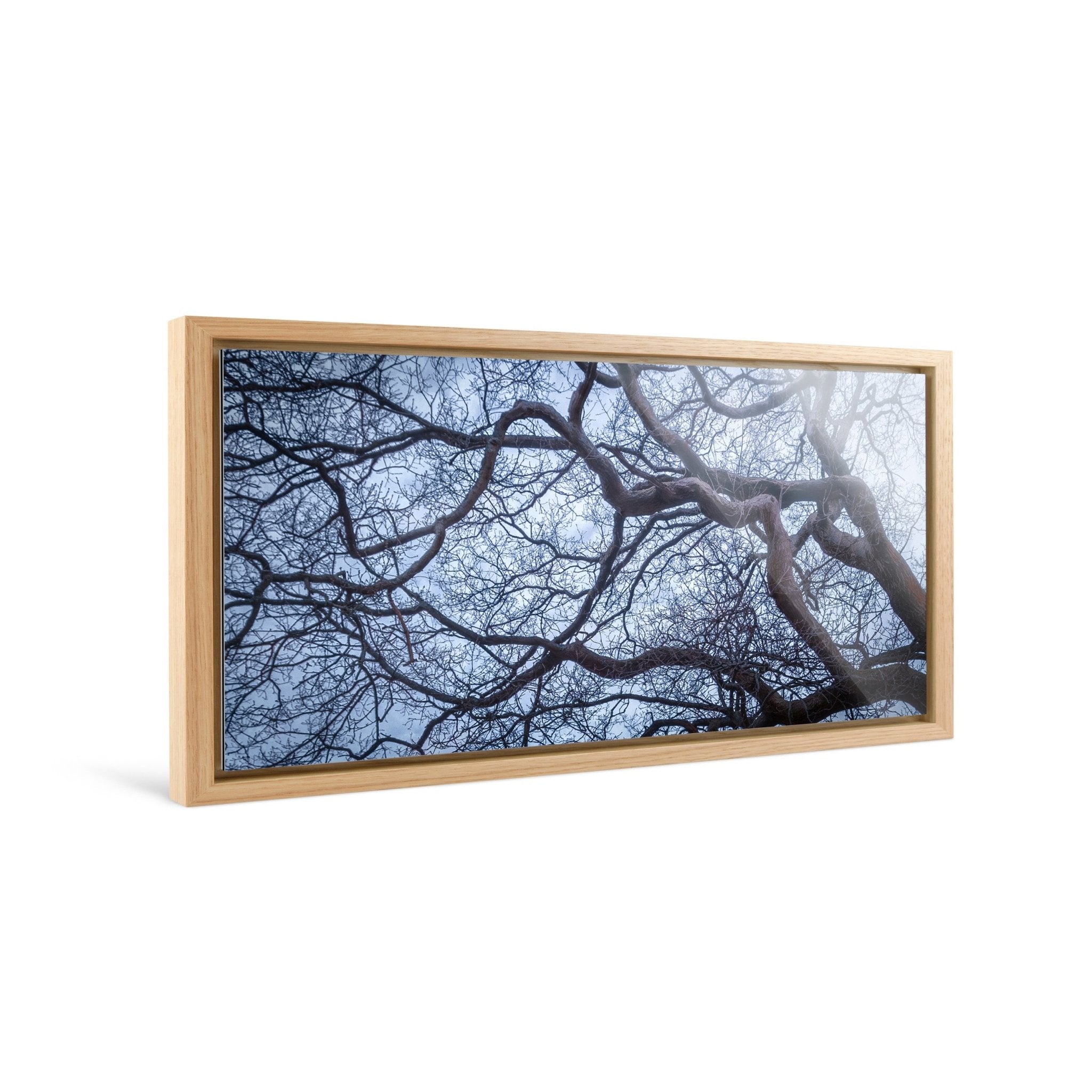 Intertwined - Yaopey Fine Art - 