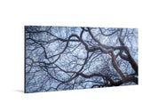 Intertwined - Yaopey Fine Art - 