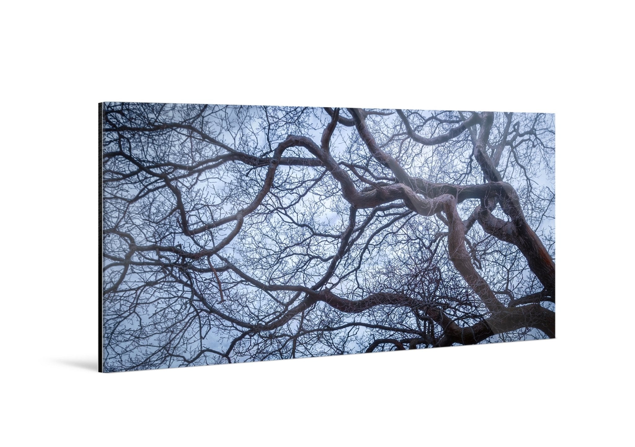 Intertwined - Yaopey Fine Art - 