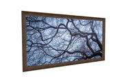Intertwined - Yaopey Fine Art - 