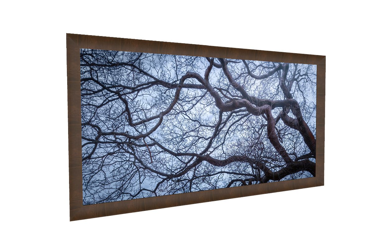 Intertwined - Yaopey Fine Art - 