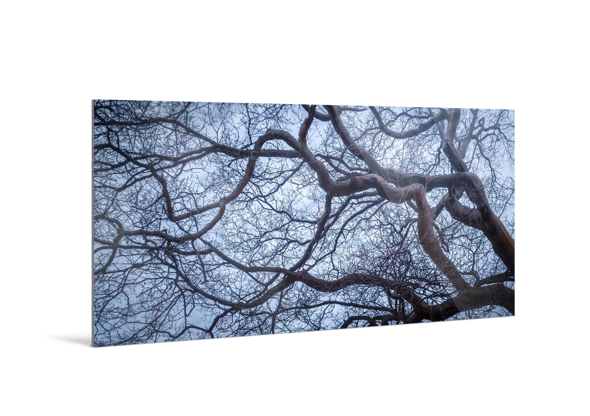 Intertwined - Yaopey Fine Art - 