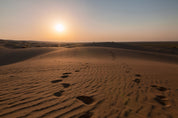 Journey - Iran - Yaopey Fine Art - 