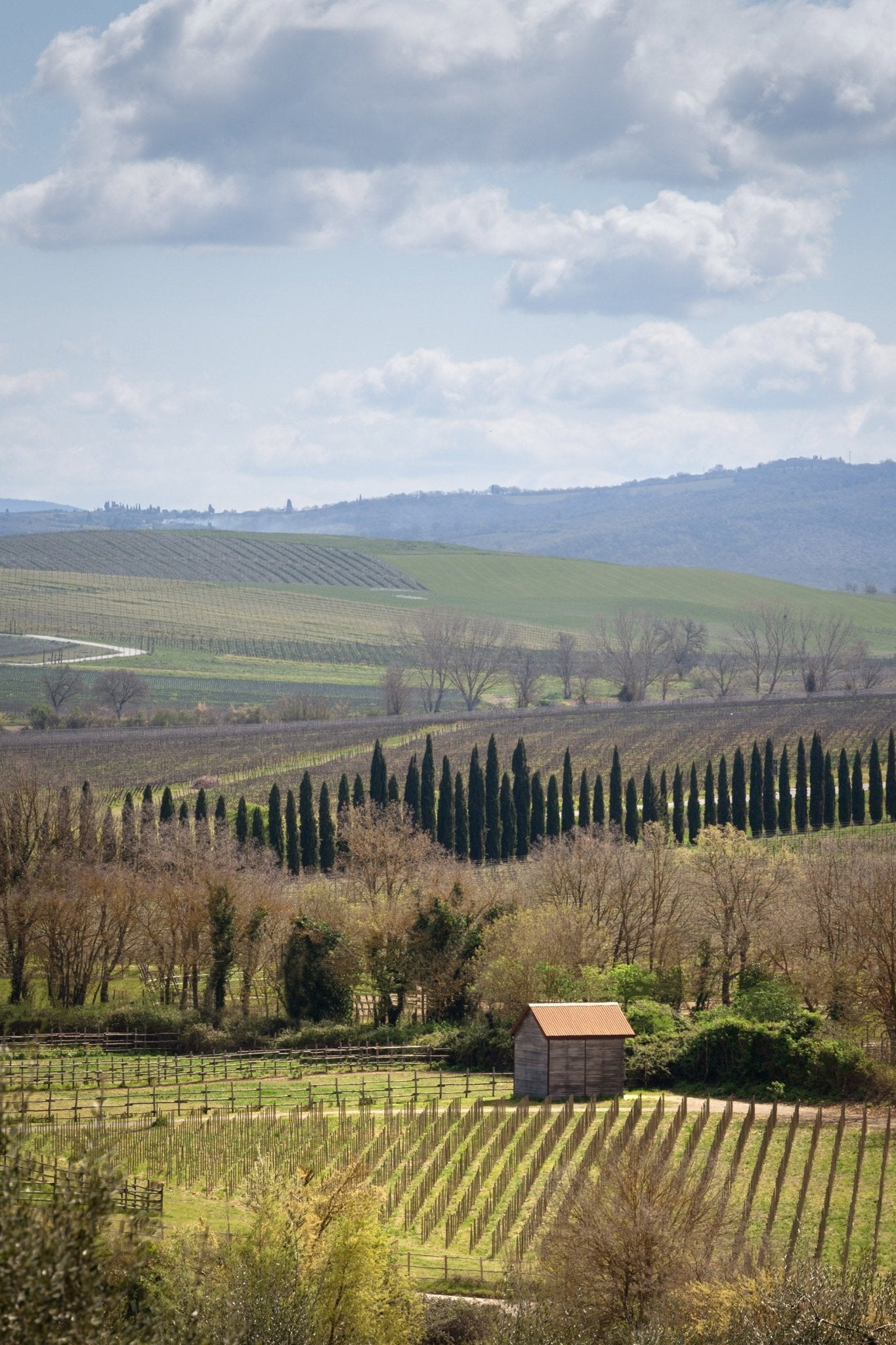 Pastoral - Tuscany - Yaopey Fine Art - 