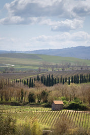 Pastoral - Tuscany - Yaopey Fine Art - 