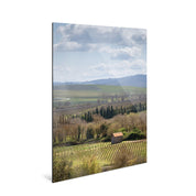 Pastoral - Tuscany - Yaopey Fine Art - 