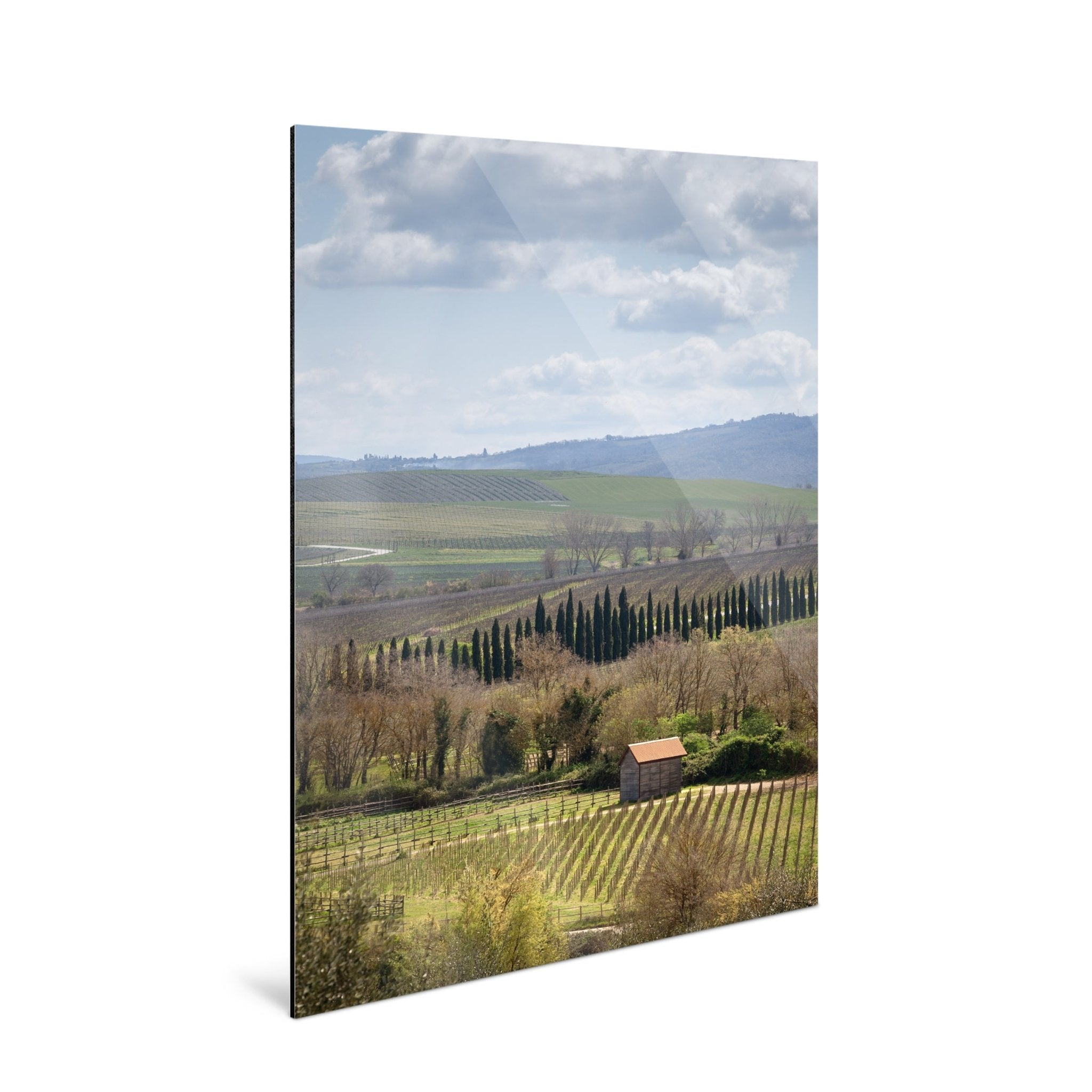 Pastoral - Tuscany - Yaopey Fine Art - 