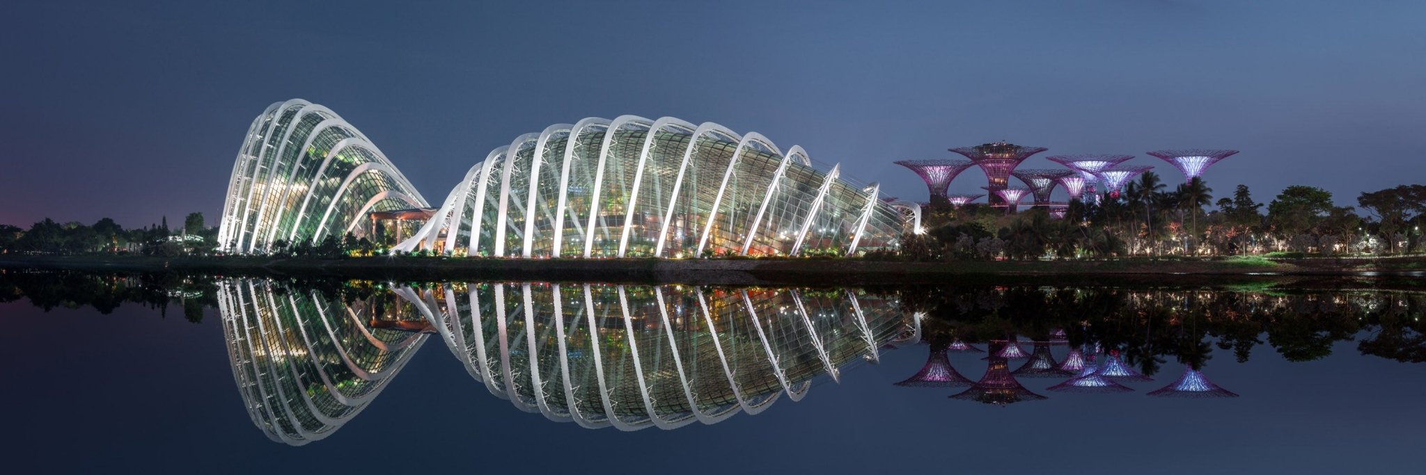 Reflections IV - Gardens by the Bay - Yaopey Fine Art - 