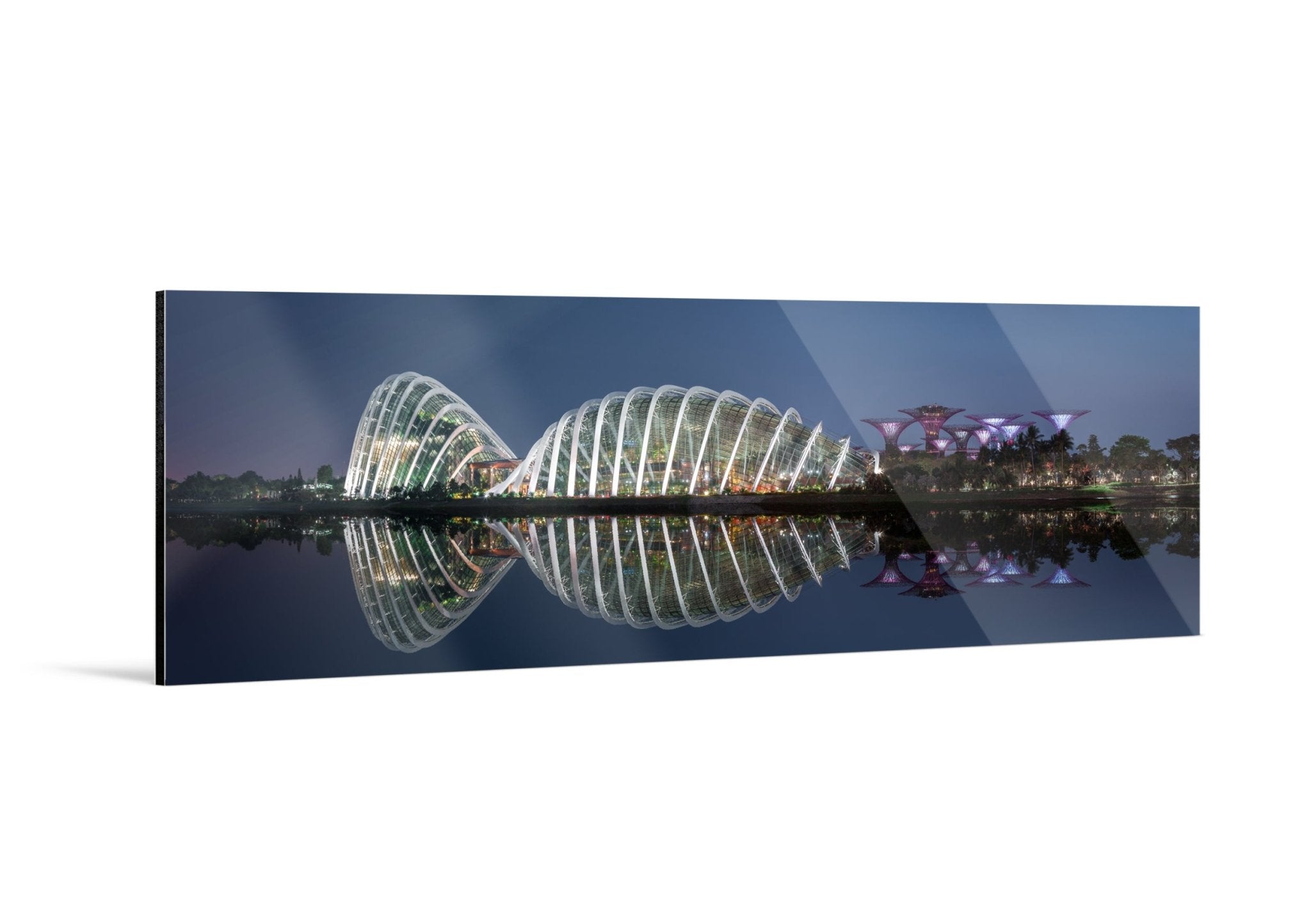 Reflections IV - Gardens by the Bay - Yaopey Fine Art - 