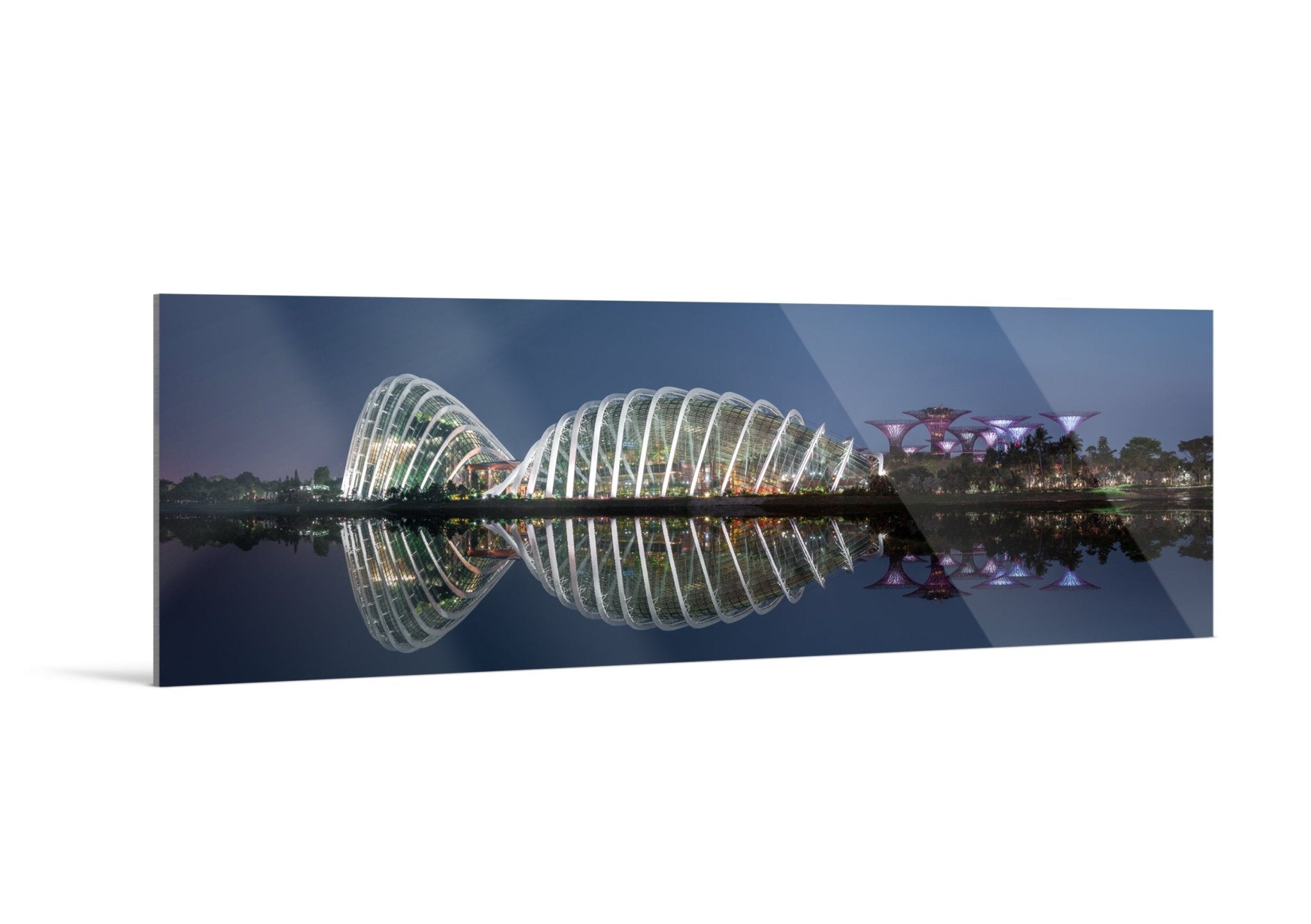 Reflections IV - Gardens by the Bay - Yaopey Fine Art - 