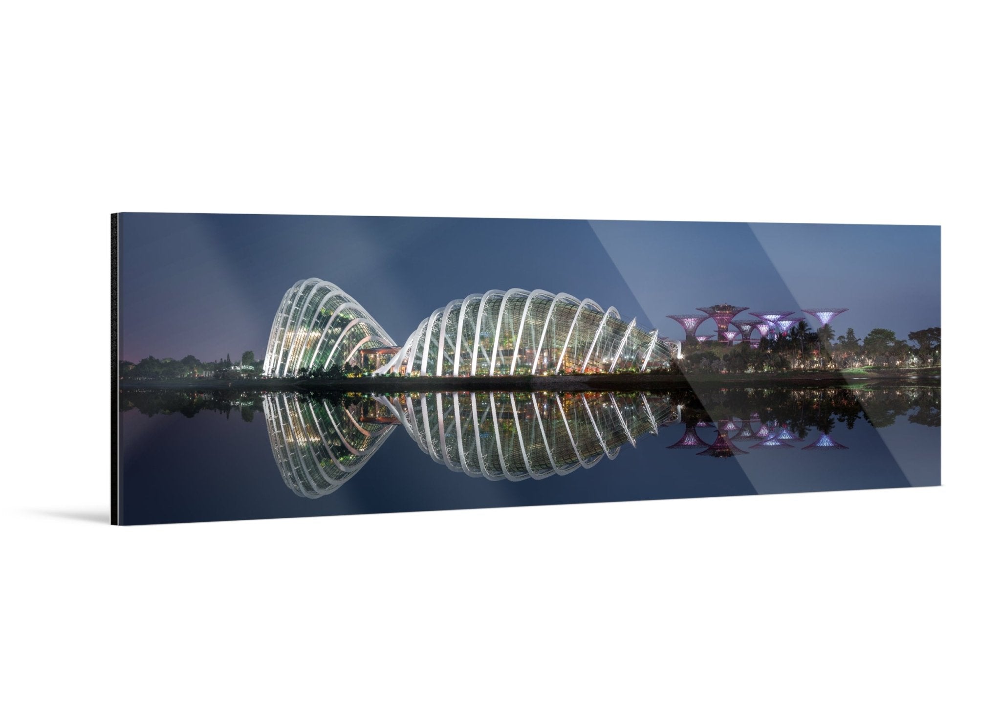 Reflections IV - Gardens by the Bay - Yaopey Fine Art - 