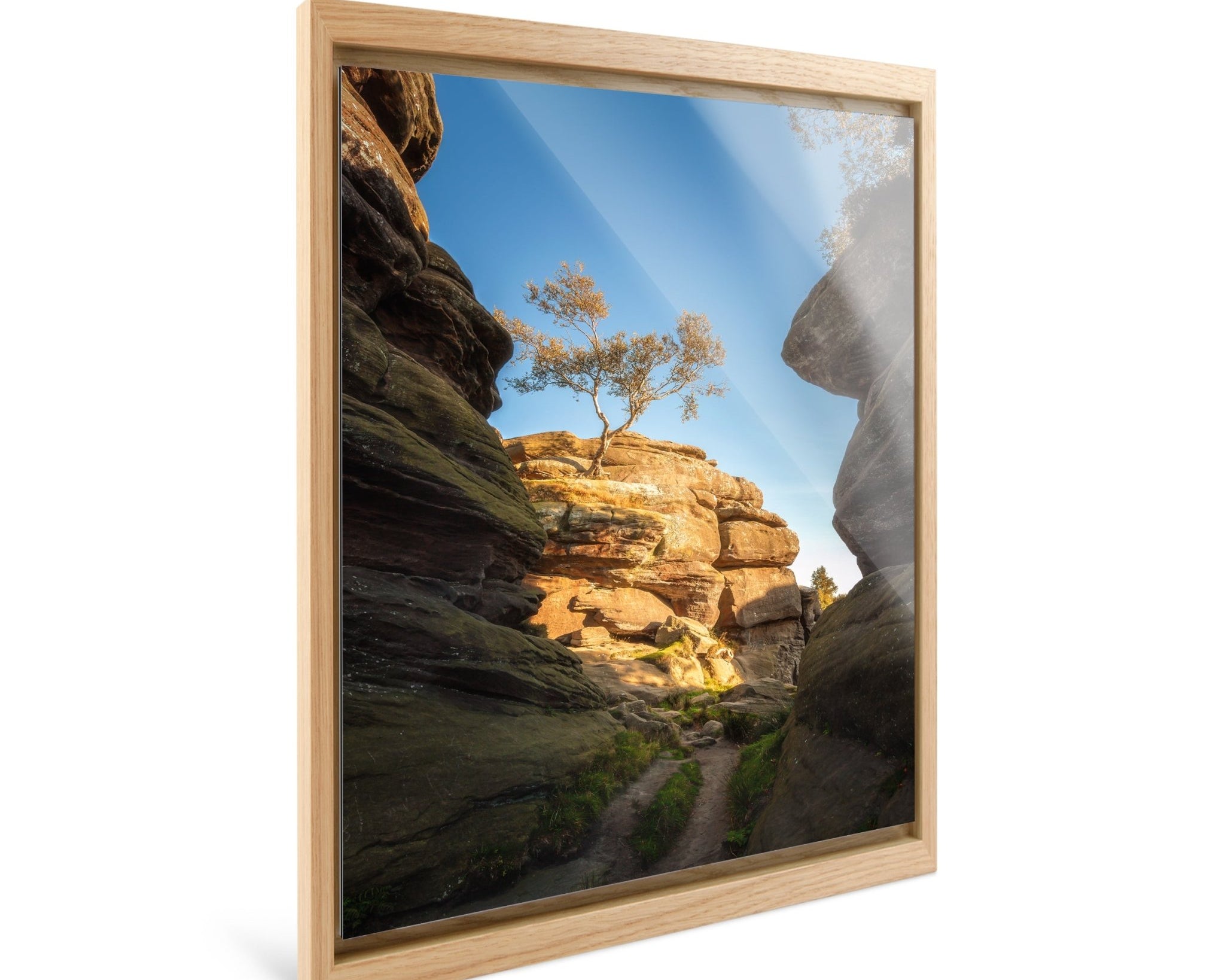 Resilience - Yaopey Fine Art - 