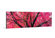 Sakura (1:3 Pano) - Yaopey Fine Art - 