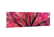 Sakura (1:3 Pano) - Yaopey Fine Art - 