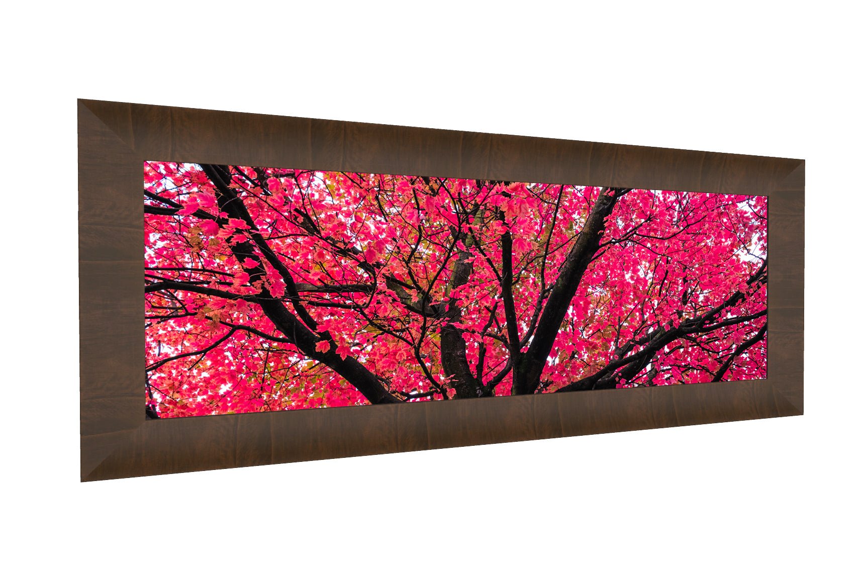 Sakura (1:3 Pano) - Yaopey Fine Art - 