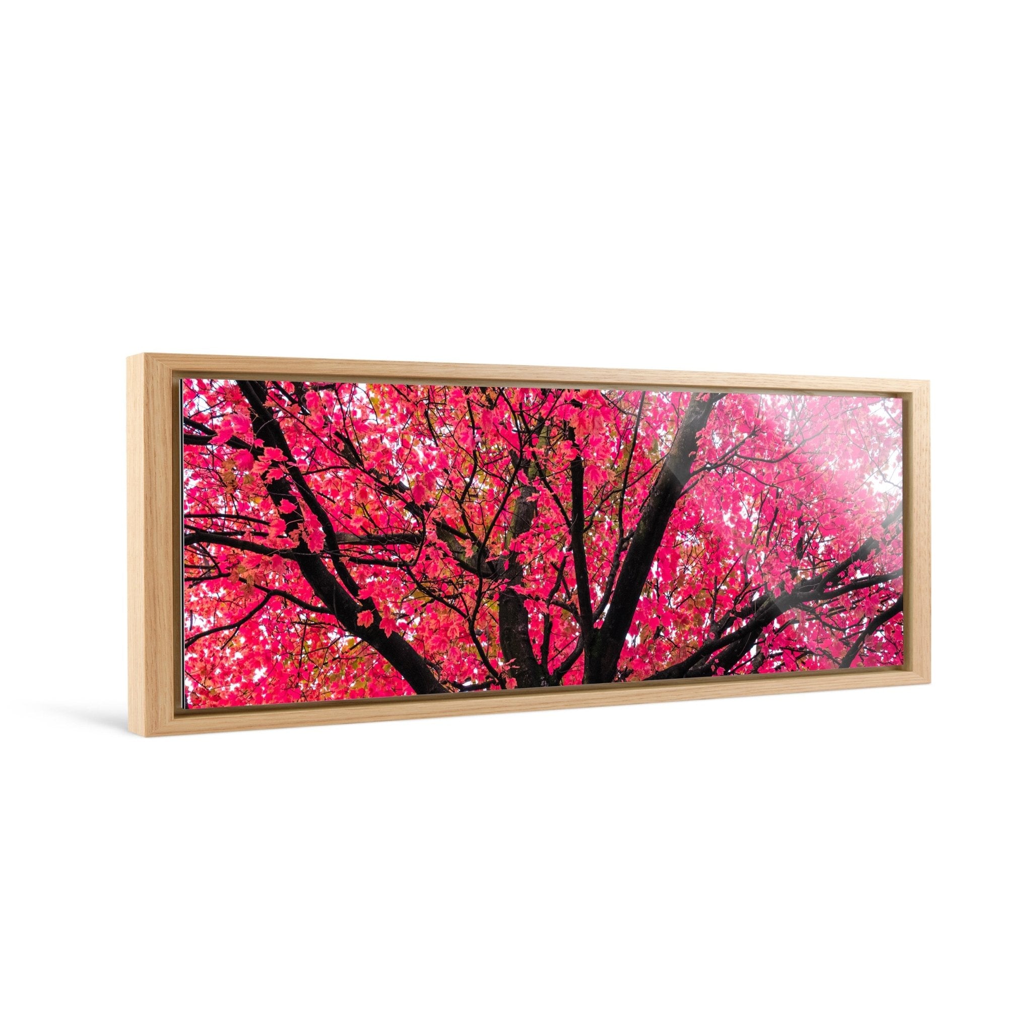 Sakura (1:3 Pano) - Yaopey Fine Art - 