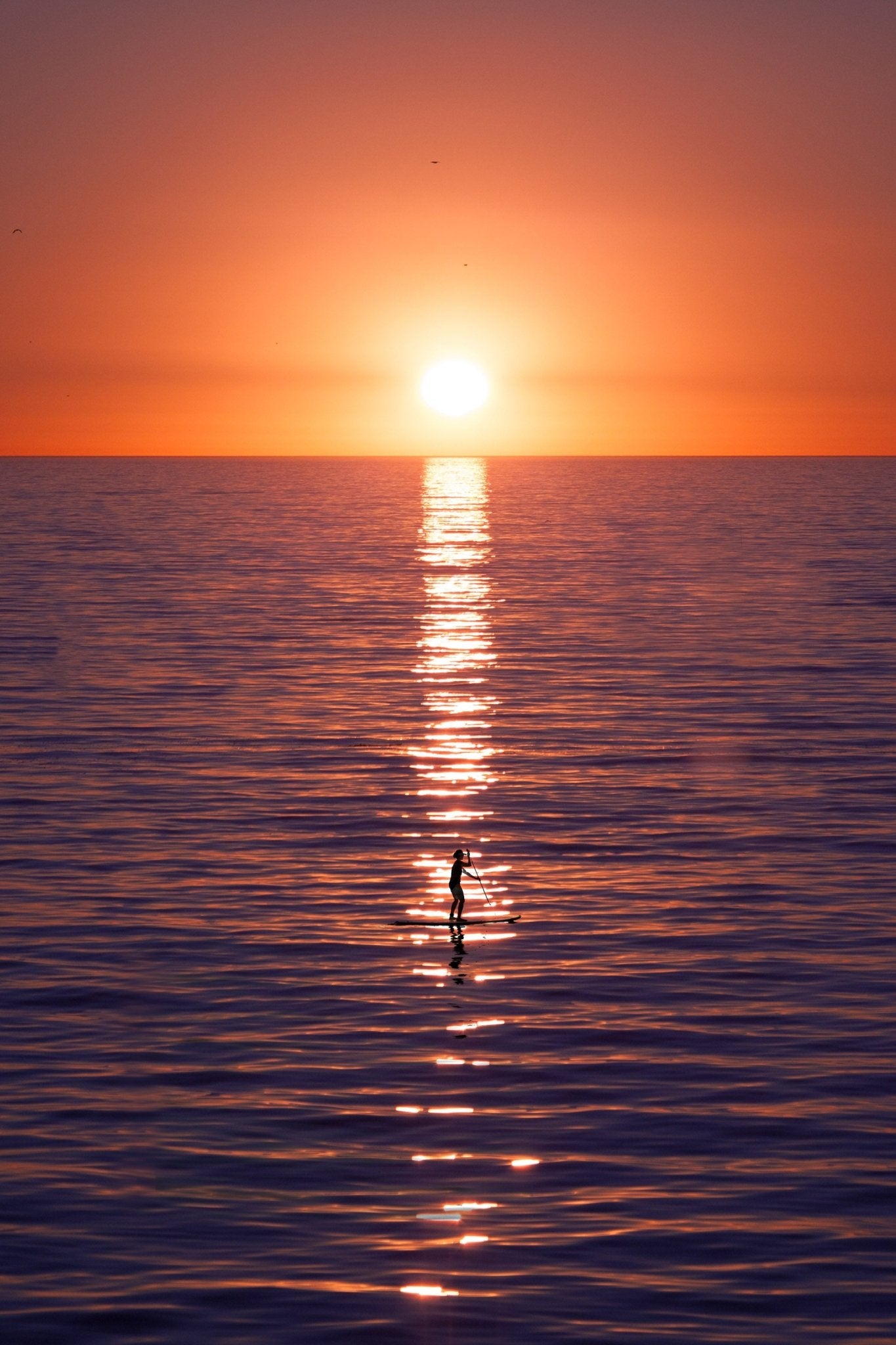 Solitude - California - Yaopey Fine Art - 