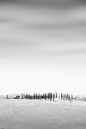Solitude - Tuscany - Yaopey Fine Art - 