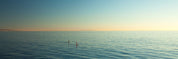 Voyage - California - Yaopey Fine Art - 