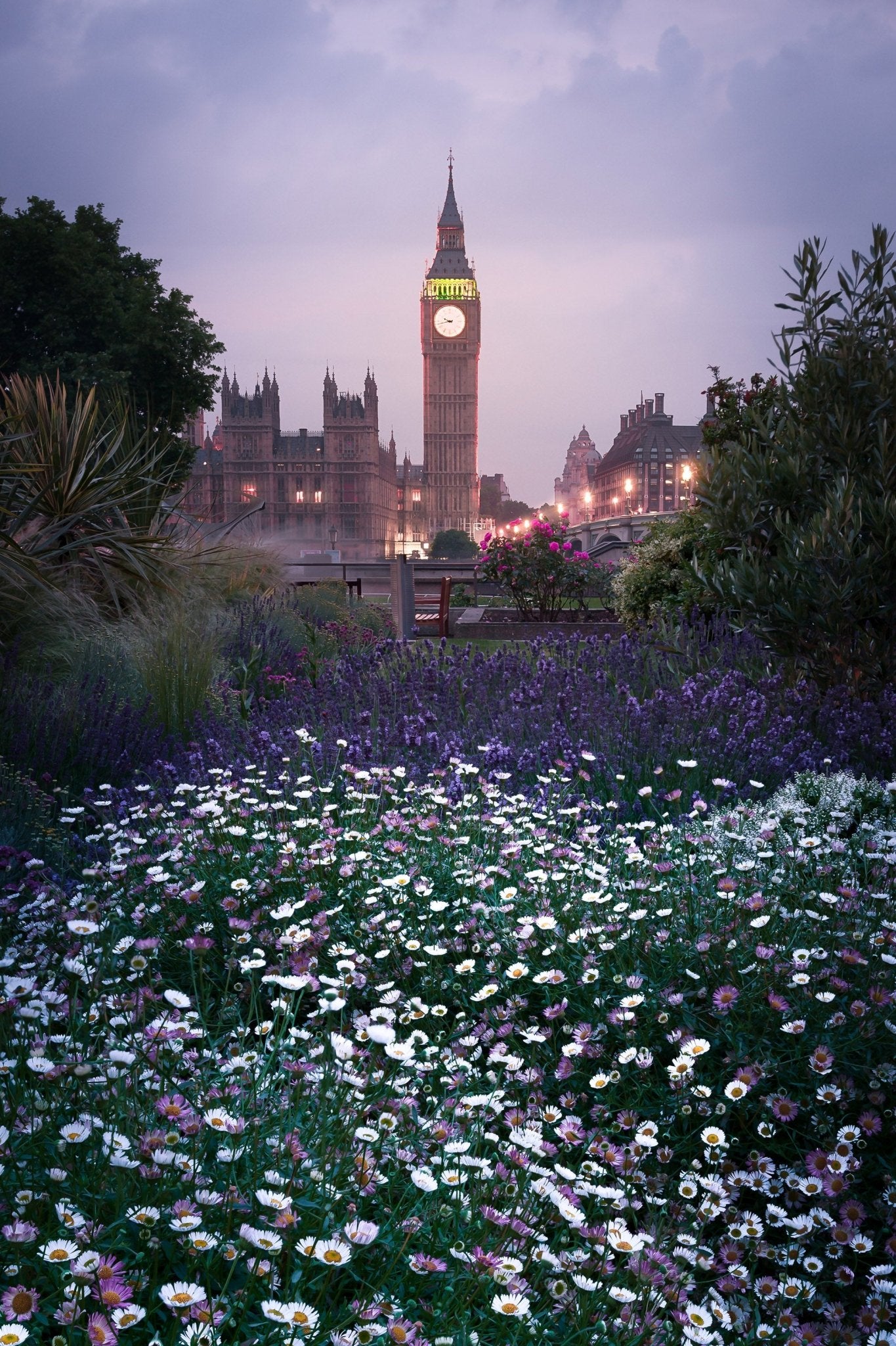 Westminster - Yaopey Fine Art - 