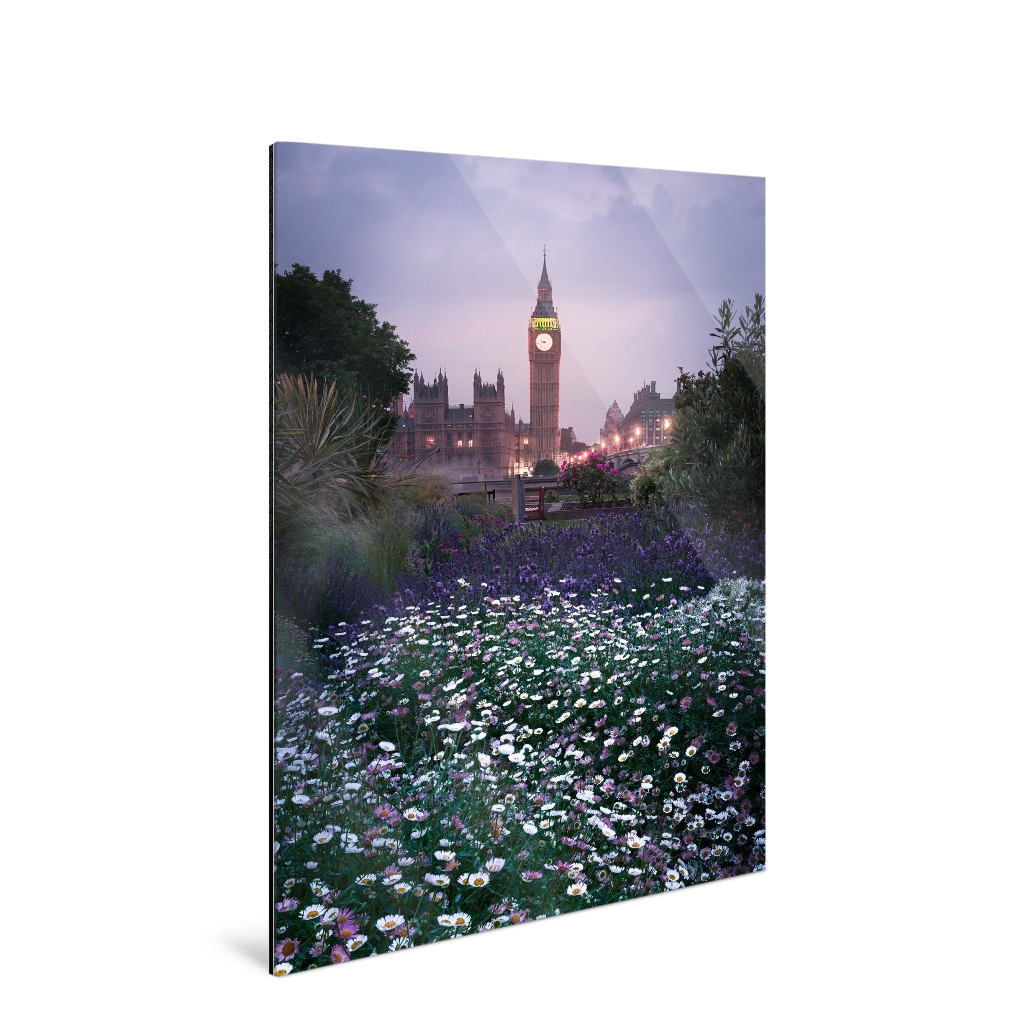 Westminster - Yaopey Fine Art - 