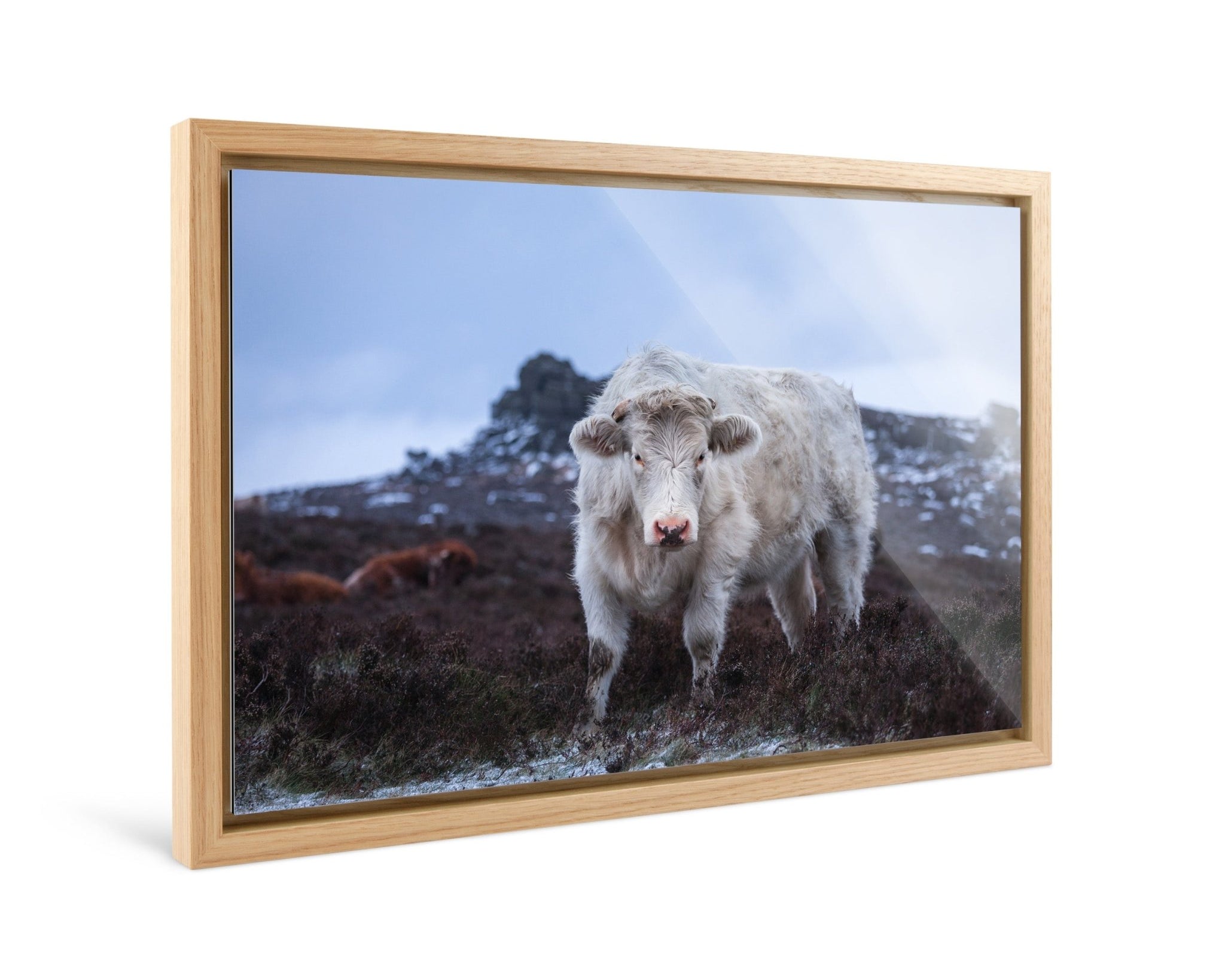 Wild - Yaopey Fine Art - 