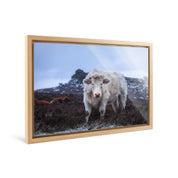 Wild - Yaopey Fine Art - 