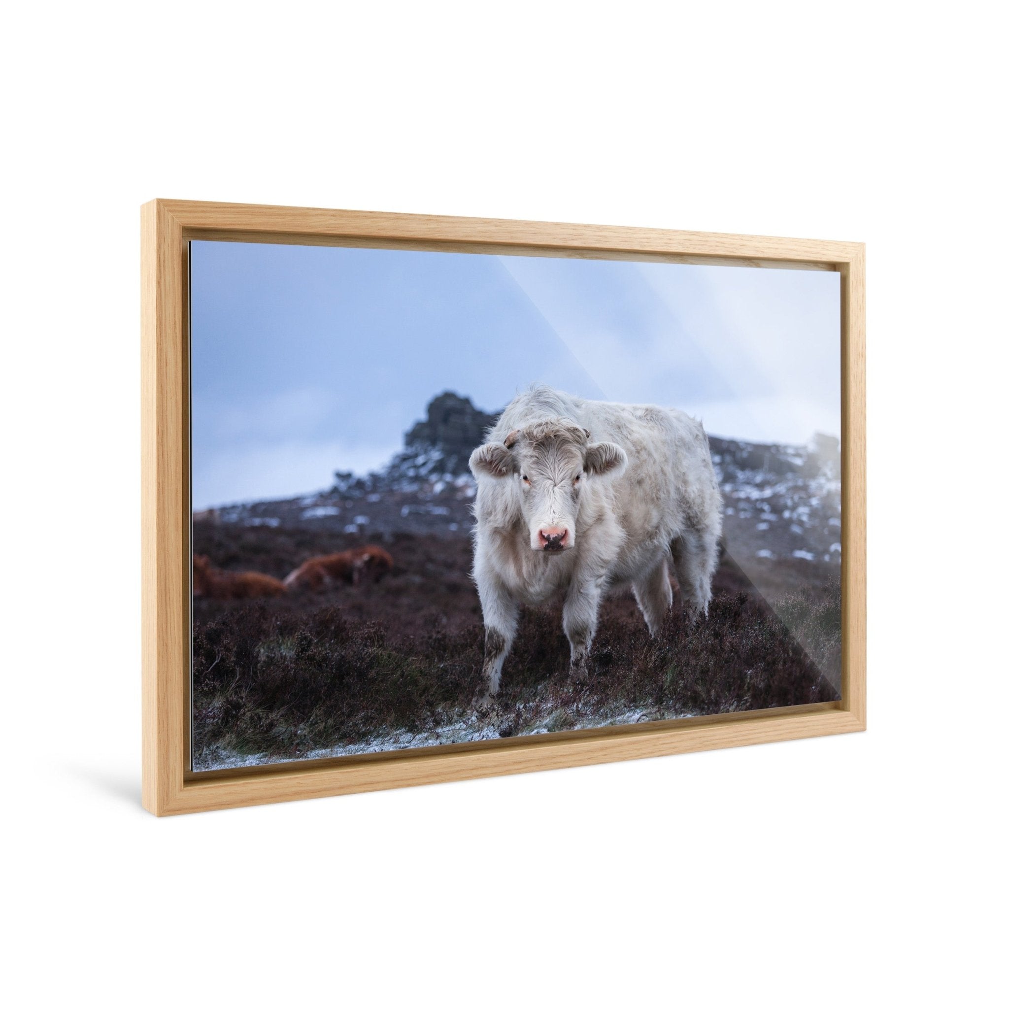 Wild - Yaopey Fine Art - 